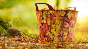 Univerzální koš na dřevo s dekorem podzim