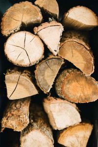 Jaké dřevo do krbu – 5 důležitých rad